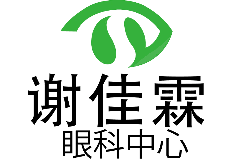 Steve Seah Eye Centre Chinese Version Logo